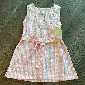 NWT Little English Pink Seersucker Dress